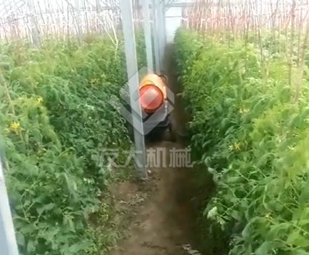草莓大棚升溫保暖必備設(shè)備——燃油暖風(fēng)機(jī)